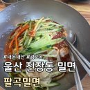 팔곡밀면 | (광고X) 내돈내산 울산 진장동 밀면 후기 :: 팔곡밀면 ::