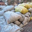 월영동286 | 마산폐기물 월영동**아파트 낙엽및전지목 견적 현장.