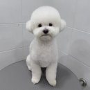 하이뭉치 유치원 이미지