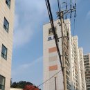 조은정형외과의원 이미지