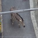 어린이대공원 제6호 이미지