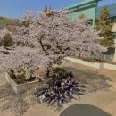 휘슬수학학원 | 아쉬움의 2학년 1학기 청산