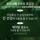 모드니에 이미지