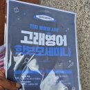 현촌초교 정문 앞 네이버블로그