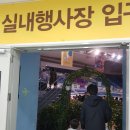 두리서교육 | 강릉커피축제 드디어 다녀오다! 커피 좋아한다면 추천