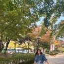 여의도공원인라인대여소 이미지