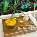 희석목장 | 대구 월광수변공원 ‘달다구니 도원점’ 망고빙수 내돈내산 후기