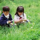 동산자연유치원 이미지