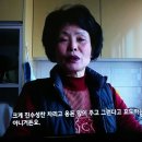 HCN서초방송