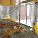 장구너머 박정아 이미지