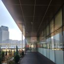 카페미밍코 | 광명 애견동반 카페 미밍코 롯데몰 광명점 | 강아지랑 야외 애견운동장 방문 후기