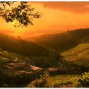 구름속의산책 이미지