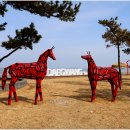 대광해수욕장 이미지