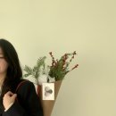 십루트이플로