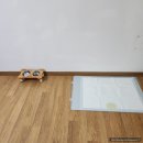 마니빌펜션 | 강화애견펜션, 마니빌독채풀빌라 펜션 수영장 여행 후기