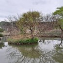 절부 화순최씨 정려각 이미지