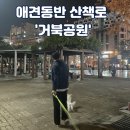거북공원 농구장