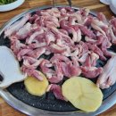 솔향오리농원 네이버블로그