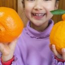 품속농장 이미지