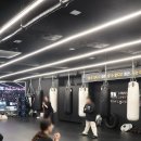 팀 해명 짐 이미지