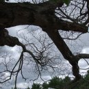 대구숙천초등학교 이미지