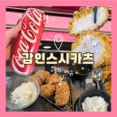 사우중로 | 김포시청 돈카츠 맛집 추천 갑인스시카츠 김포 사우동 맛집내돈내산 후기