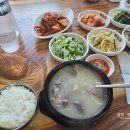 그림자의 그림자(홀 | 것들(청춘, 썬더치킨, 천등산분식, 내장산흑염소, 맥도날드, 파도횟집, 희미한옛사랑의그림자, 참새방앗간)