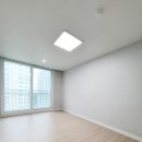 반도보라 이미지