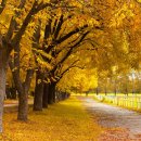 목동동로1길 이미지