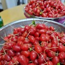 검산 농장 이미지