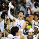 양지체육관 이미지