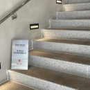 111 | 애견 동반도 가능한 청주 대형 카페, 자연 속 힐링 111LAC 일일일락 솔직후기