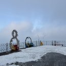 매일카프라자 | 발왕산 겨울 설경 실시간 케이블카 할인 예약 주차