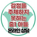 [온라인 상담: 감정을 주체하지 못하는 중1 아들] 메타인지, 아동 상담, 청소년 상담, 강남사회성센터, 한국아동청소년심리상담센터 이미지