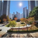 서희스타힐스부동산공인중개사사무소 이미지