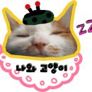 자장자장