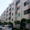 사파동310 이미지