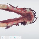 스무살의꿈 동물병원 이미지