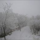 함양얼음 이미지