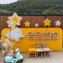 댕댕별숲 애견독채펜션 | 양평 반려견 동반 숙소 댕댕별숲 C동｜프라이빗 마당 있는 애견 독채 펜션 후기