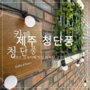 [제주/제주시] 제주 시청 카페 청단풍 디저트 맛집 다락방 감성카페 후기