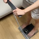 (주)인바디 | 인바디 체중계 다이얼 H40 정확도 내돈내산 후기