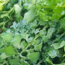 둔둔농장 이미지