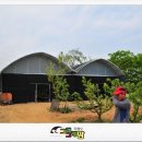 파주흑염소농장 이미지