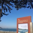 주전몽돌해변 이미지