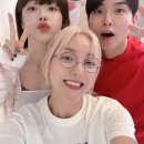바다아리 이미지