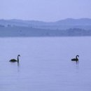 고니목장 이미지