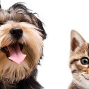 레미 동물병원 이미지