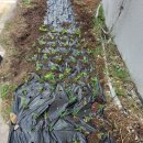 군산농약사 이미지