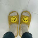 데이미네일